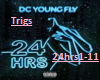 Dc Youngfly-24hrs