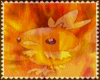 Flaming Torchic