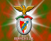 BENFICA PORTUGAL SLIDE