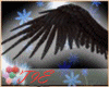 T9E:Dark Angel Wings
