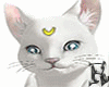 Artemis Cat Sailor Moon