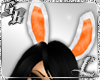 Orange Bunny Ears