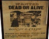 Wanted Bonnie / Clyde