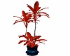 A Red Plant