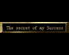 Secret to Success gold