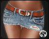 Mini Jeans Belt