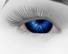 Deep Blue Tired Mirage