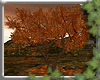 ~E- Autumn Tree Anim Dk