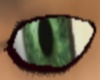 [DS]bright green eyes