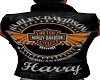 Custom Harley Vest Harry