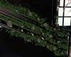 Office Vines