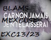 blams excusept2 exc13/23