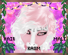 ꨄBlossom Hairꨄ