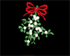 (M/F)Christmas Mistletoe