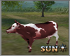 !SR! Farm cow