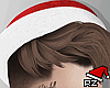rz. Santa + Hair Brown