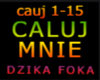 CALUJ MNIE
