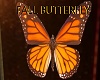 Fall Butterfly Wall Art