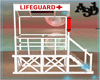 A3D*Lifeguard