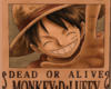 LUFFY WANTED