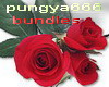 red rose pure love B/D