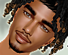 Dante Head