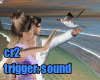 seagulls+sound