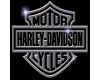 ~P~Harley Davidson Panel