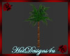 ~H~Animated Palm Tree
