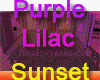 4u Purple And Lilac Room