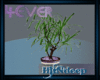 (H)4ever Pot Plant Decor