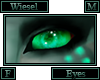 Wiesel Eyes