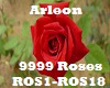 Noiz 9999 Roses