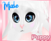 [Pup] Bunny Chibi Head M