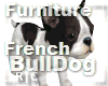 R|C French BullDog COFFE