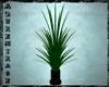 ^AZ^Tall Green Plant