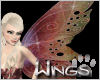 Aine Fairy Wings