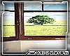 animated window/NATURE