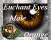 ~QI~ Enchant Eyes O M