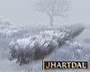 JL Winter Shrubs Snow