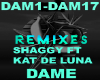 Remix Dame Shaggy&Kat