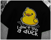 🦆 Give Ducks 🦆