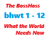 The BossHoss / What the