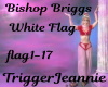 Bishop Briggs-White Flag