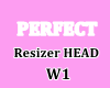 Perfect Resizer Head