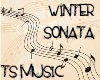 TS-Winter Sonata OST