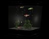 Aquariums - fish tank