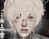Aspid  °‧★⋆