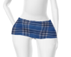 ℓ. Plaid Blue Skirt