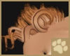 ~AM~Cicikava Shoulder v2